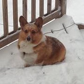 Debra Levesque-Bard's photo