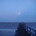 sophy_mott