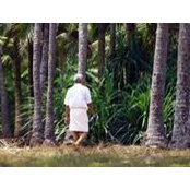 Divakaran Kvs foto