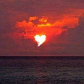 Denise Garrant's photo