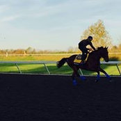 Katharine Edmonds's photo