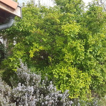 Jardin Méditerranéen