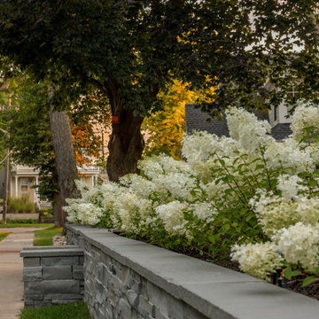 Beau's Forever Bloom