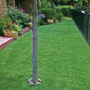 Artificial Grass Next To Natural Grass