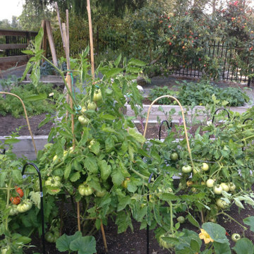 Vegetable Gardens