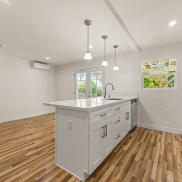 ADU Remodelling
