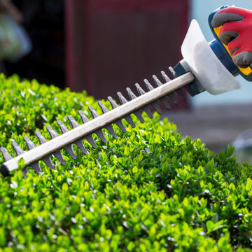 Majestic Tree Care Inc