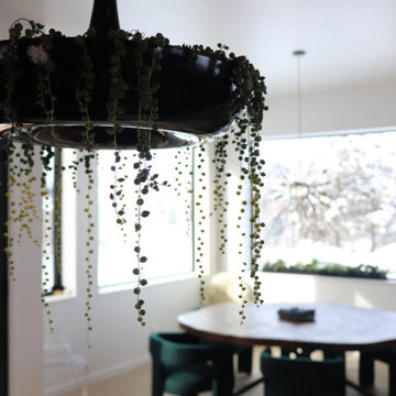 True Biophilic design!