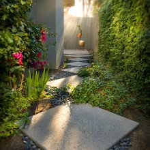 side yard