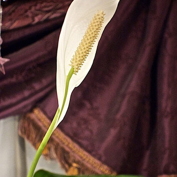 Living Room: Easter Lily Detail