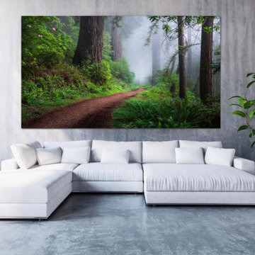 FOREST PARADISE Archival Limited Edition Fine Art Print by MICHAEL BJORGE FINE A