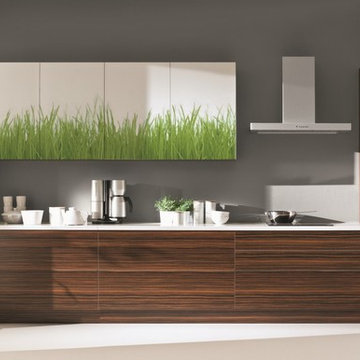 Custom Graphic Sliding Doors - "Decorativo"