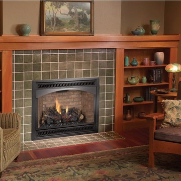 Fireplace Xtrordinair