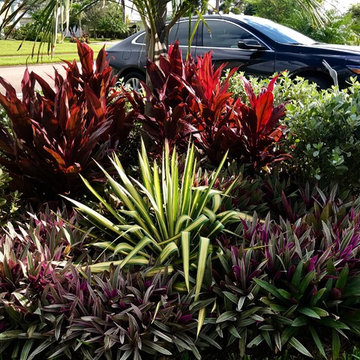 Full Home Tropical Landscape