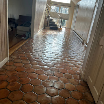 SALTILLO TILE RESTORATION
