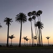 sylvie gabriel's photo