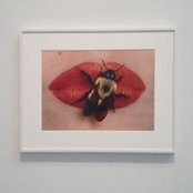 Adline Ferret's photo