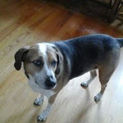 Edie Barbas Mantsavinos's photo
