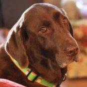 Beth Southworth's photo