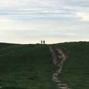 Haley Taylor's photo