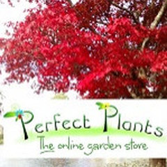 Perfect Plants Ltd