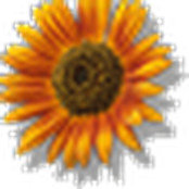 Heidi Blauvelt's photo