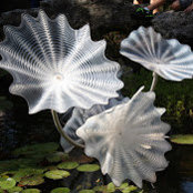 Foto von Katharine Lynette Chamberlain
