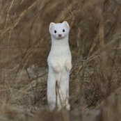 Drew Bontoft's photo