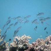 Sandra Dostal's photo