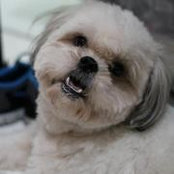 Mabel Santos's photo