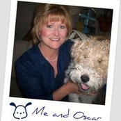 Lisa Walmer's photo