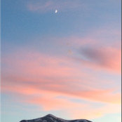 Meredith Manning's photo
