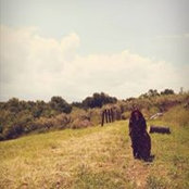 Adriana D'Arcangelo's photo