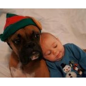 Patti Gardner's photo