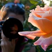 Karyn McNeal's photo