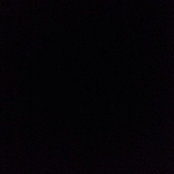 G Allen's photo