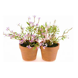 Shea's Wildflower - Small Flowers In Pots, Set Of 2 - Wreaths And Garlands