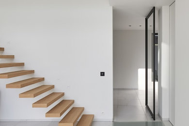 Modern house with glass pivot doors