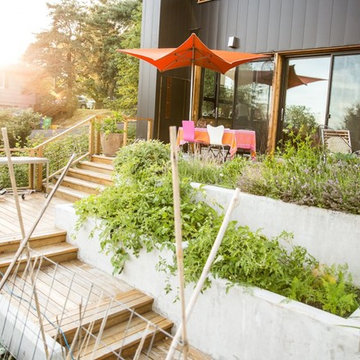 Full Plane Passive House