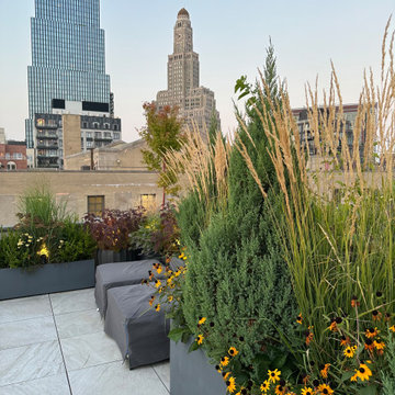 Brooklyn Rooftop Wildflower Garden