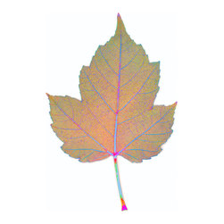 Chroma Leaf: 072 back B - Fine Art Prints