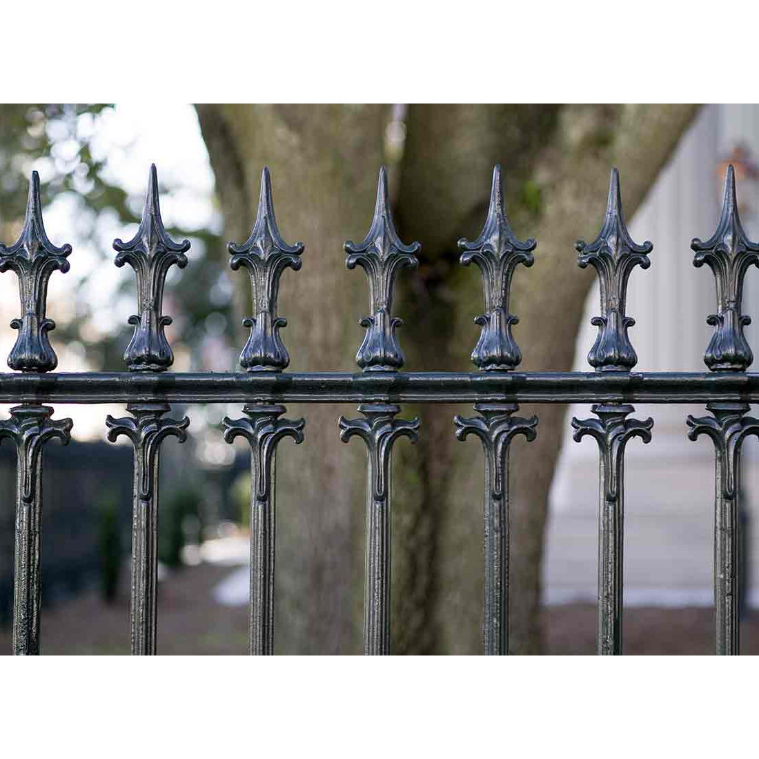 Fence Services