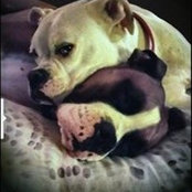 Heather Merkel's photo