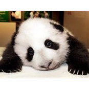 Margaret Wheeldon's photo