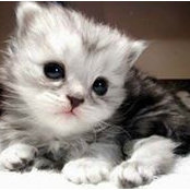 Nan PrIz's photo