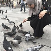 Sara Rabie's photo