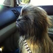 Scott Woodward's photo