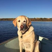 Dona Gleason's photo