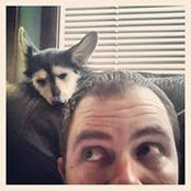 Austen Grates foto