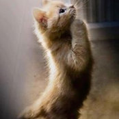 Joyce Lind's photo